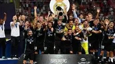 巅峰国际 产品 054318 ilr