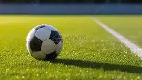 巅峰国际 资讯 104545 nmw