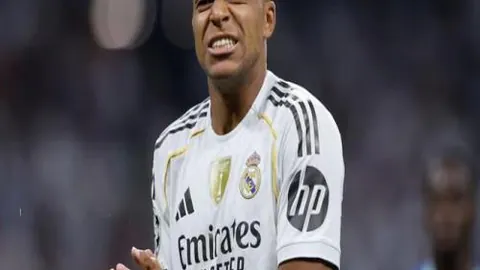 巅峰国际 产品 103337 wcn