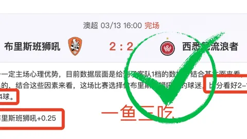 新西兰公开赛白政恺次轮领先，郑蕴和并列第二